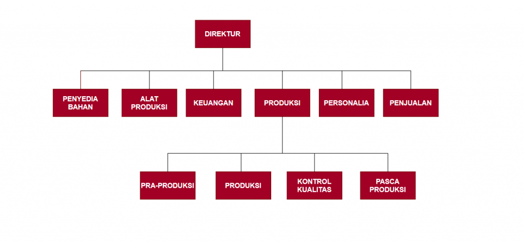 Struktur Organisasi Divisi